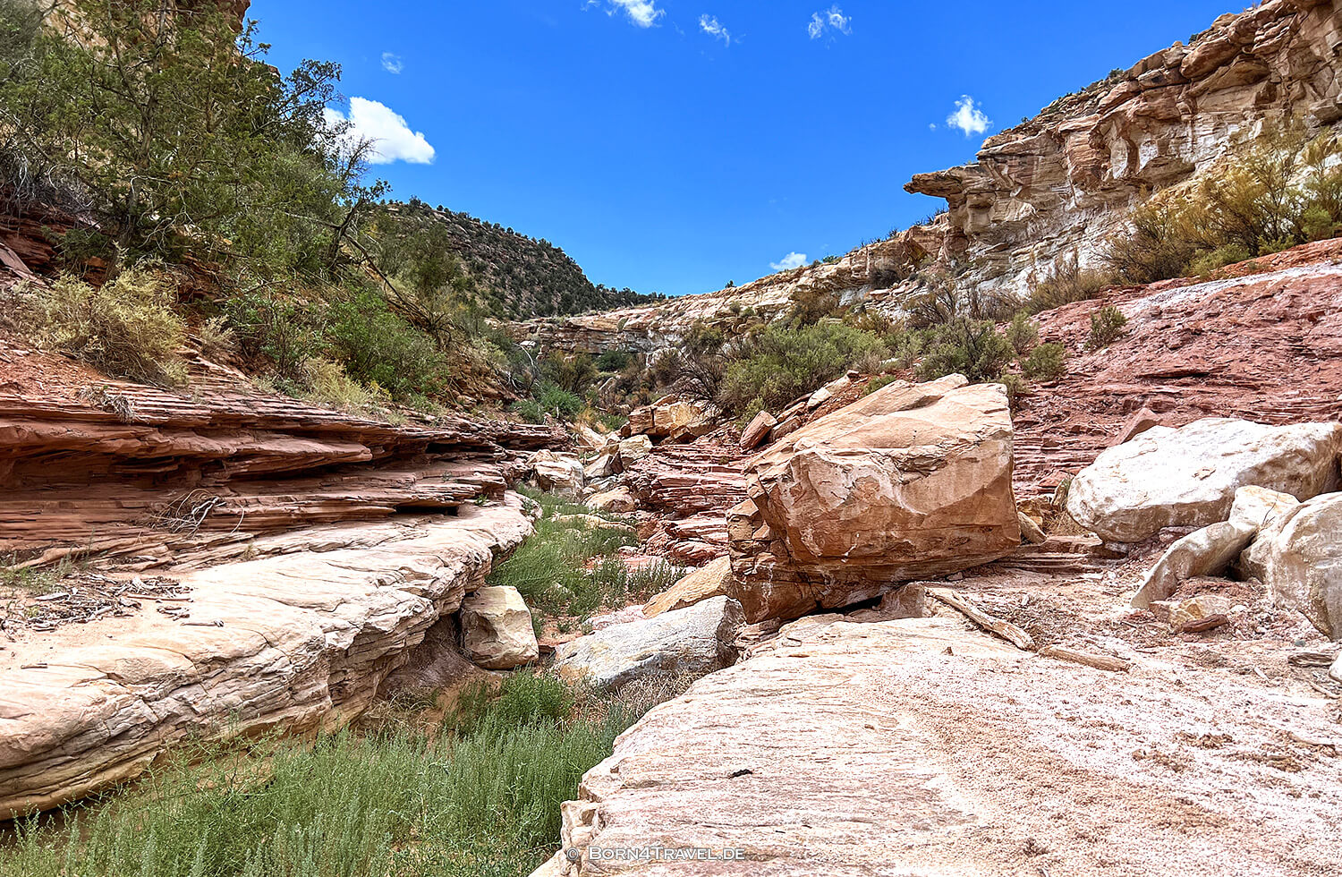 Unaweep Tabeguache Scenic Byway,US 141,Colorado 2022,born4travel.de