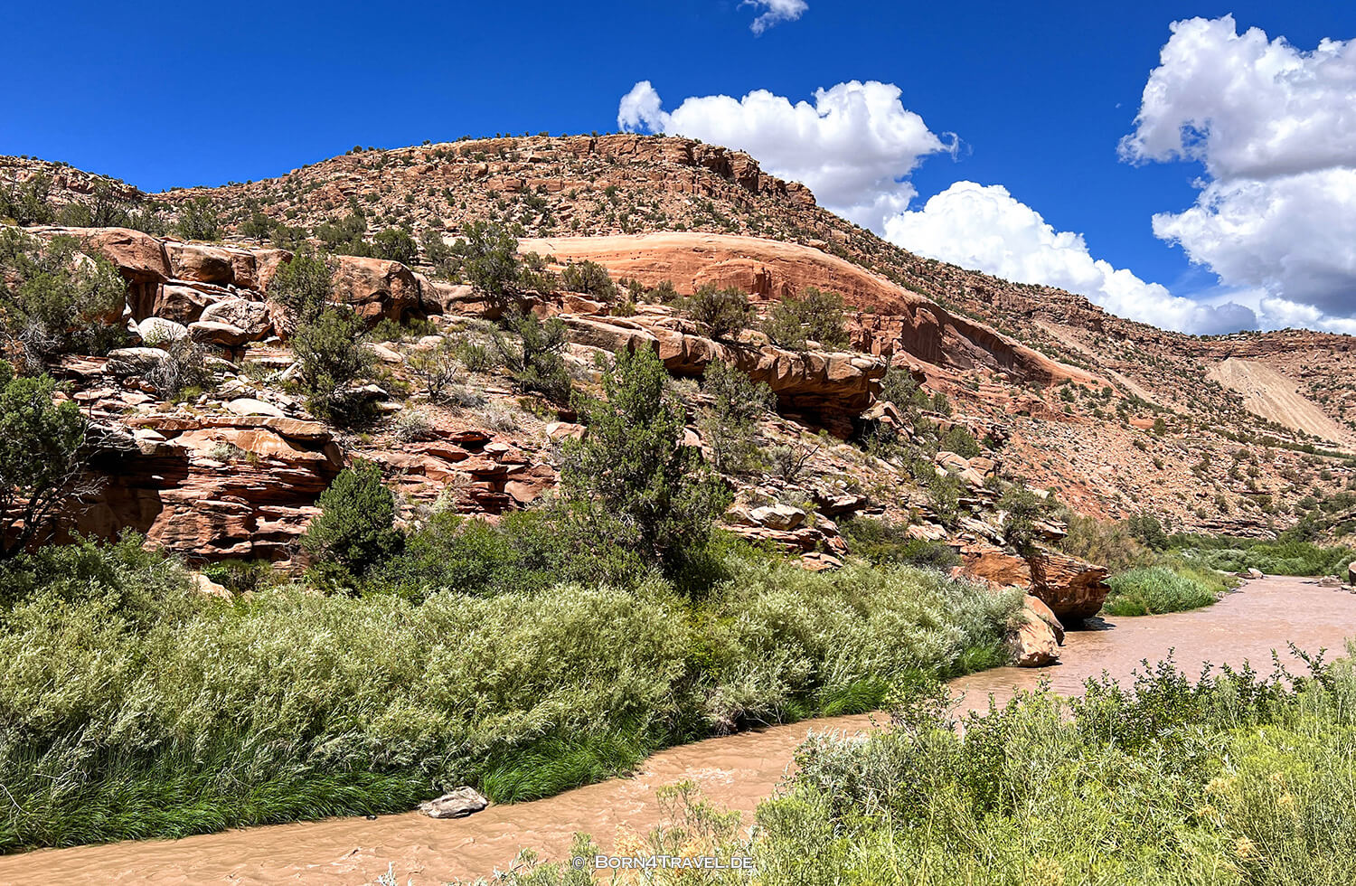 Y11 Rd,US 141,Colorado 2022,born4travel.de