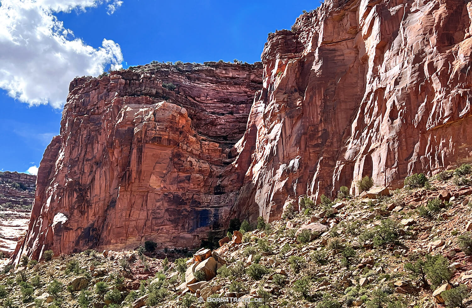 Y11 Rd,US 141,Colorado 2022,born4travel.de