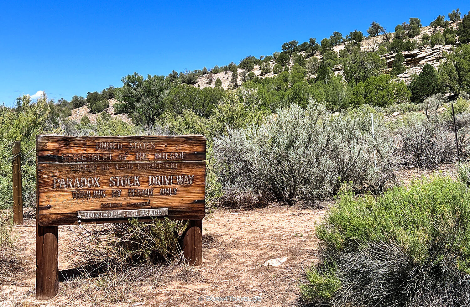 Paradox Valley Petroglyphs,Colorado 2022,born4travel.de