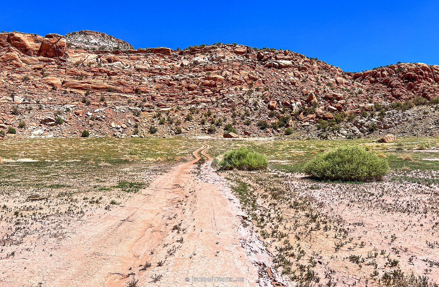 Paradox Valley Petroglyphs,Colorado 2022,born4travel.de