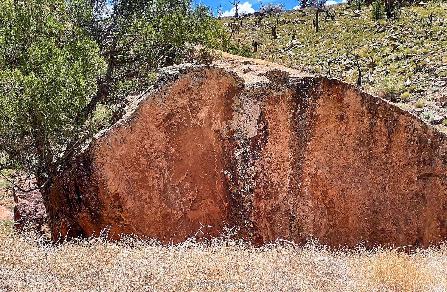 Paradox Valley Petroglyphs,Colorado 2022,born4travel.de