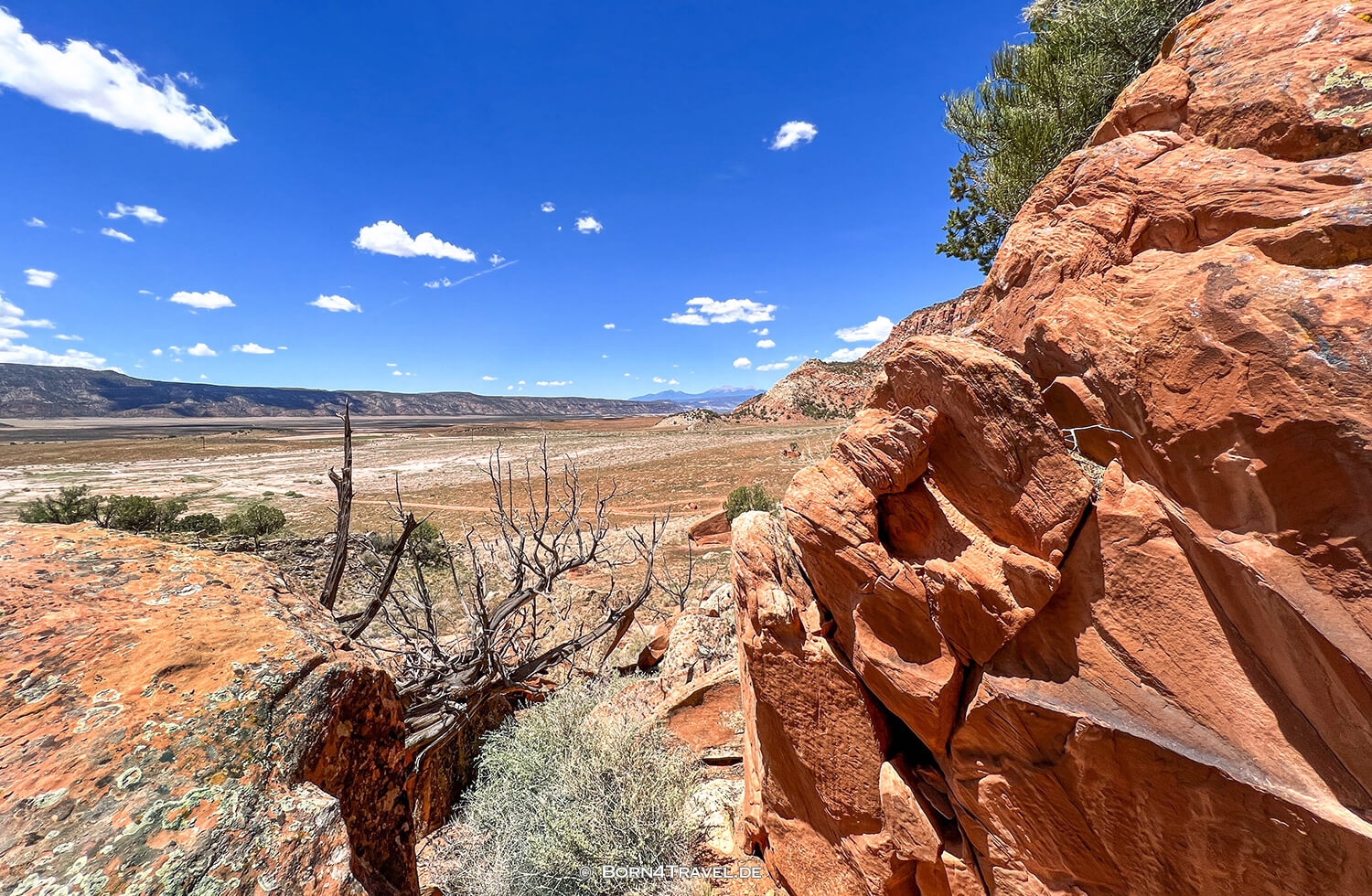 Paradox Valley Petroglyphs,Colorado 2022,born4travel.de