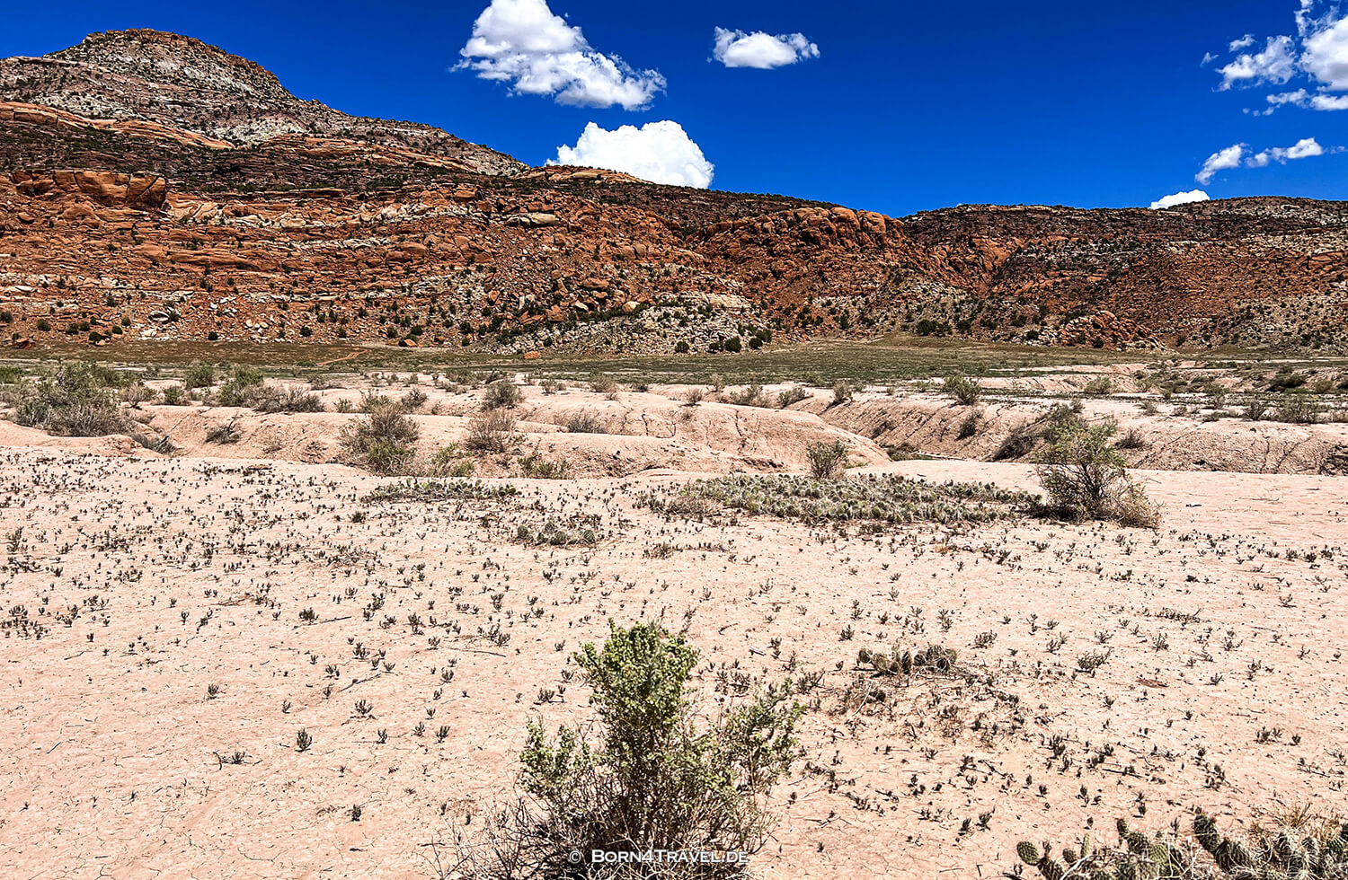 Paradox Valley Petroglyphs,Colorado 2022,born4travel.de
