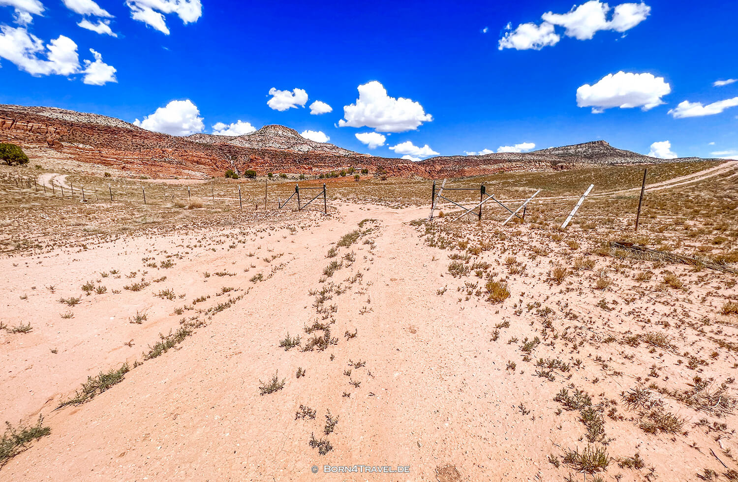 Paradox Valley Petroglyphs,Colorado 2022,born4travel.de