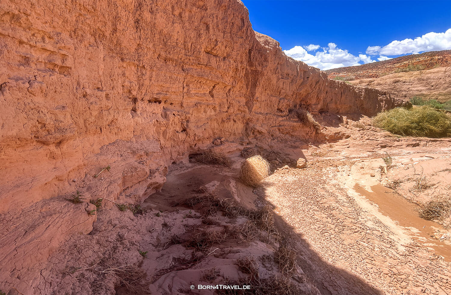 Paradox Valley Petroglyphs,Colorado 2022,born4travel.de