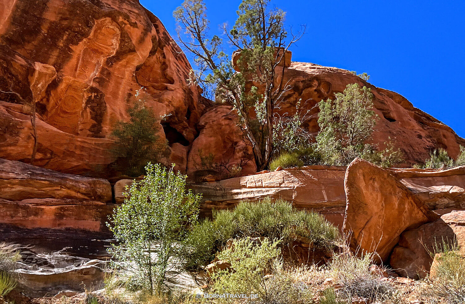 Y11 Rd,US 141,Colorado 2022,born4travel.de Y11 Rd,US 141,Colorado 2022,born4travel.de