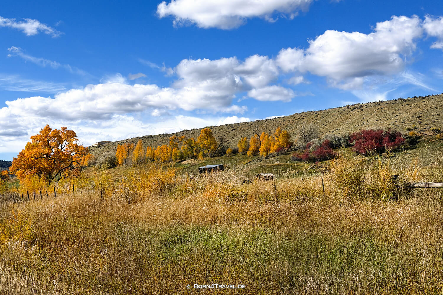 Colorado,USA2025,born4travel.de Colorado,USA2025,born4travel.de