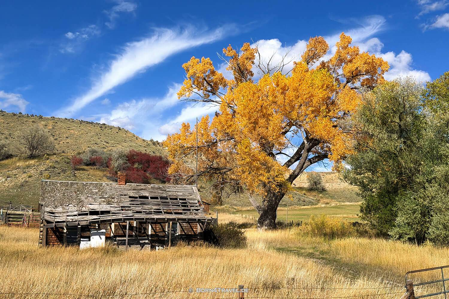 Colorado,USA2025,born4travel.de Colorado,USA2025,born4travel.de