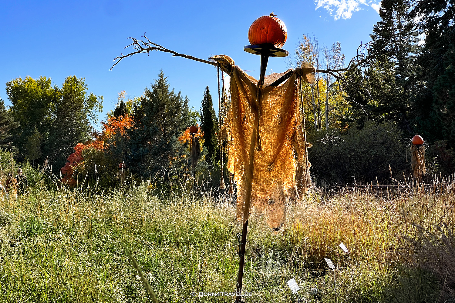 Denver Botanic Garden,Denver Colorado,USA 2025,born4travel.de Denver Botanic Garden,Denver Colorado,USA 2025,born4travel.de