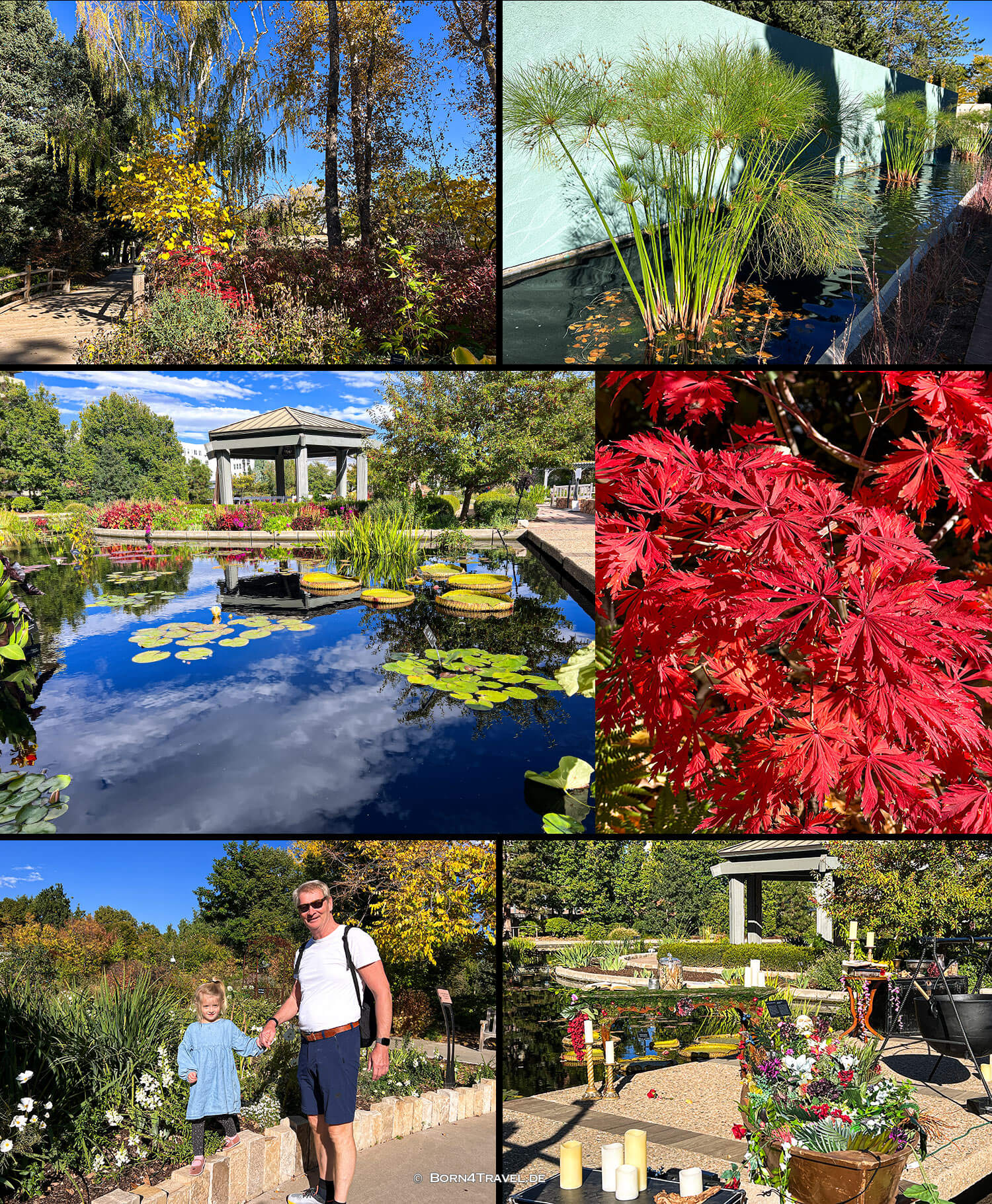 Denver Botanic Garden,Denver Colorado,USA 2025,born4travel.de Denver Botanic Garden,Denver Colorado,USA 2025,born4travel.de