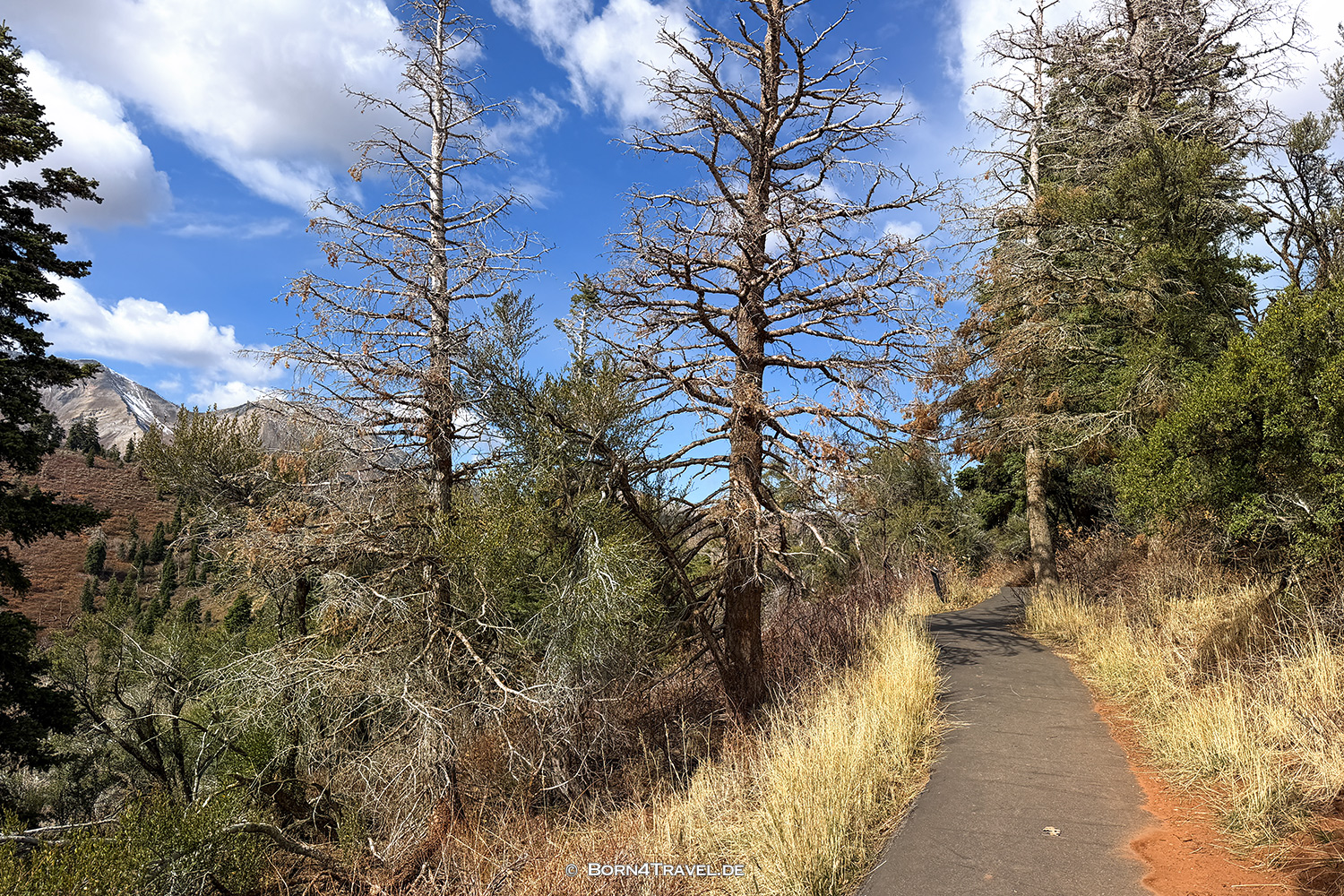 Nebo Loop,Utah,USA2025,born4travel.de