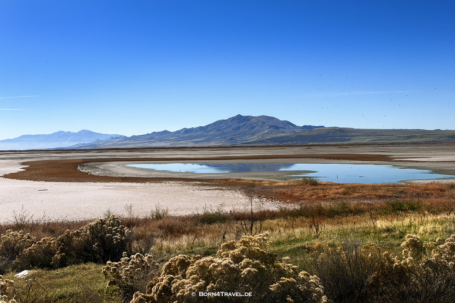 Antelope Islandl,Salt Lake City,Utah,USA2025,born4travel.de