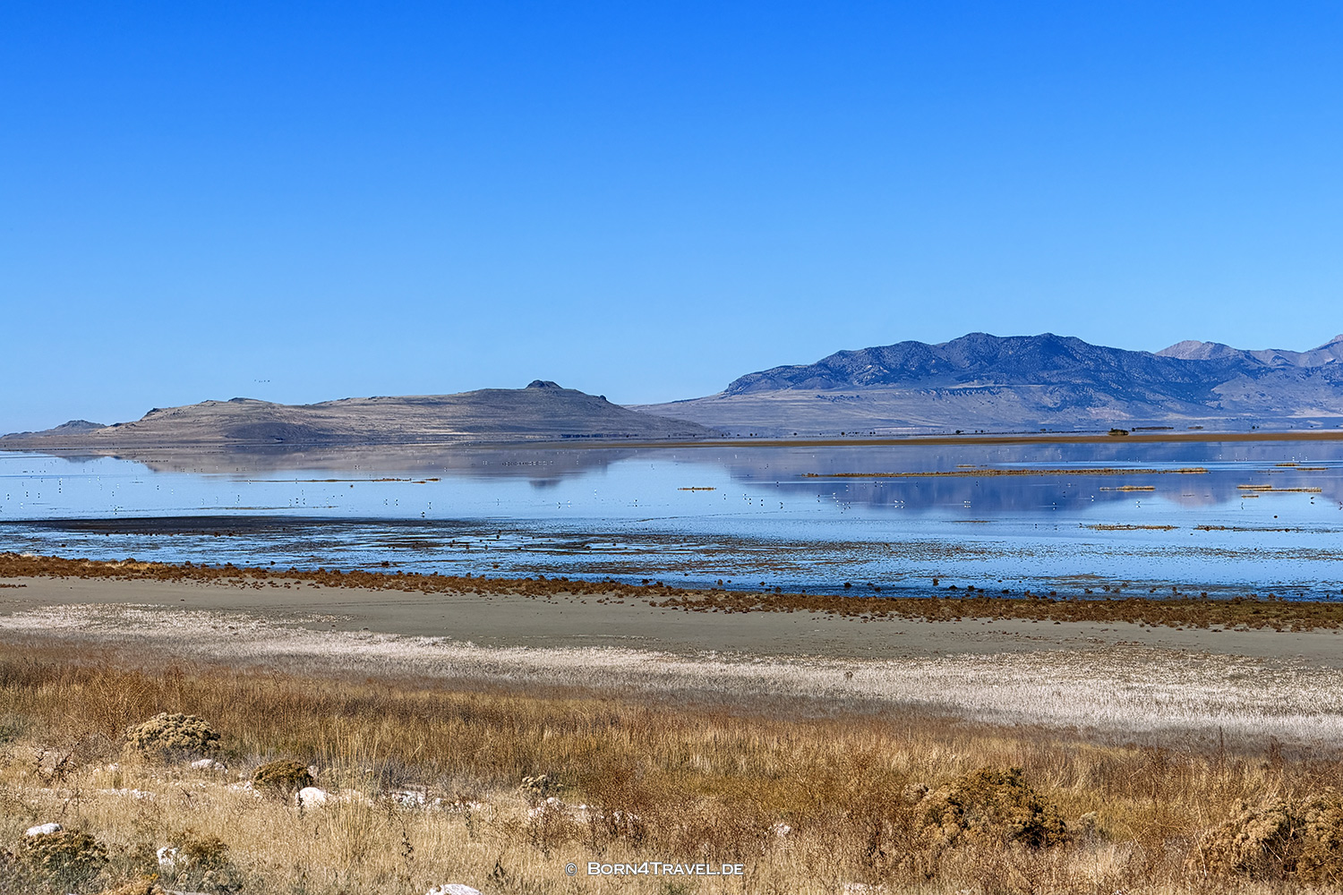 Antelope Islandl,Salt Lake City,Utah,USA2025,born4travel.de