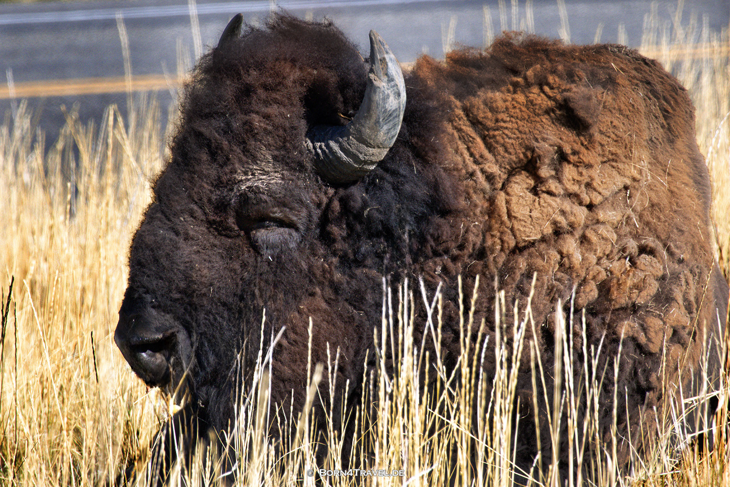 Antelope Islandl,Salt Lake City,Utah,USA2025,born4travel.de
