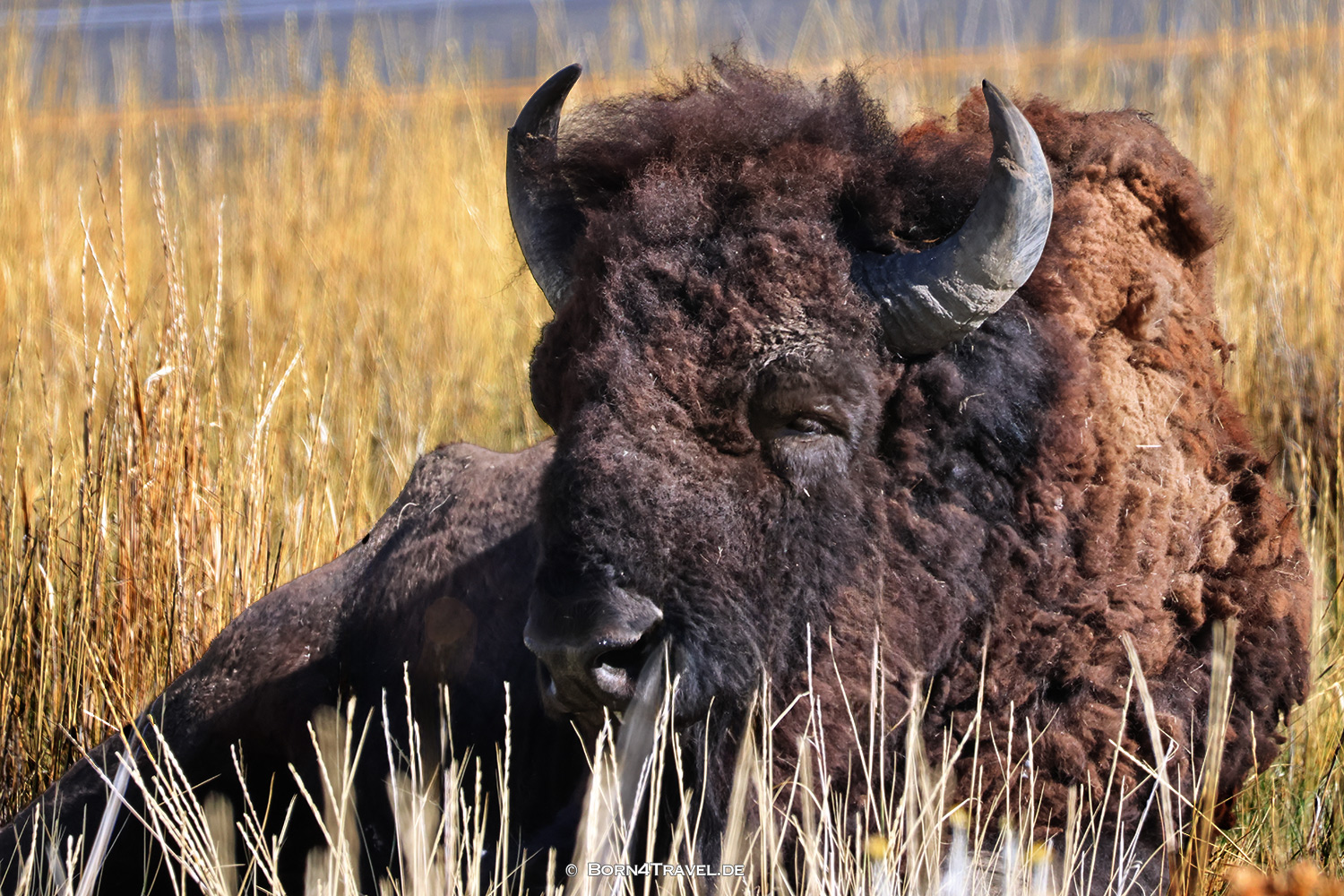 Antelope Islandl,Salt Lake City,Utah,USA2025,born4travel.de