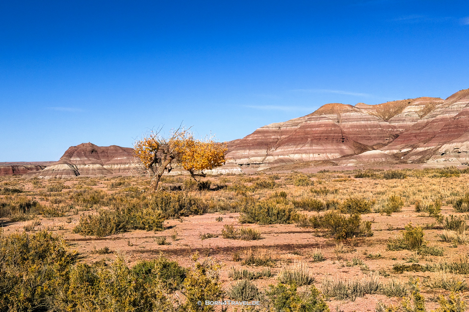 Uinta Basin, Utah,USA2025,born4travel.de Uinta Basin, USA2025,born4travel.de