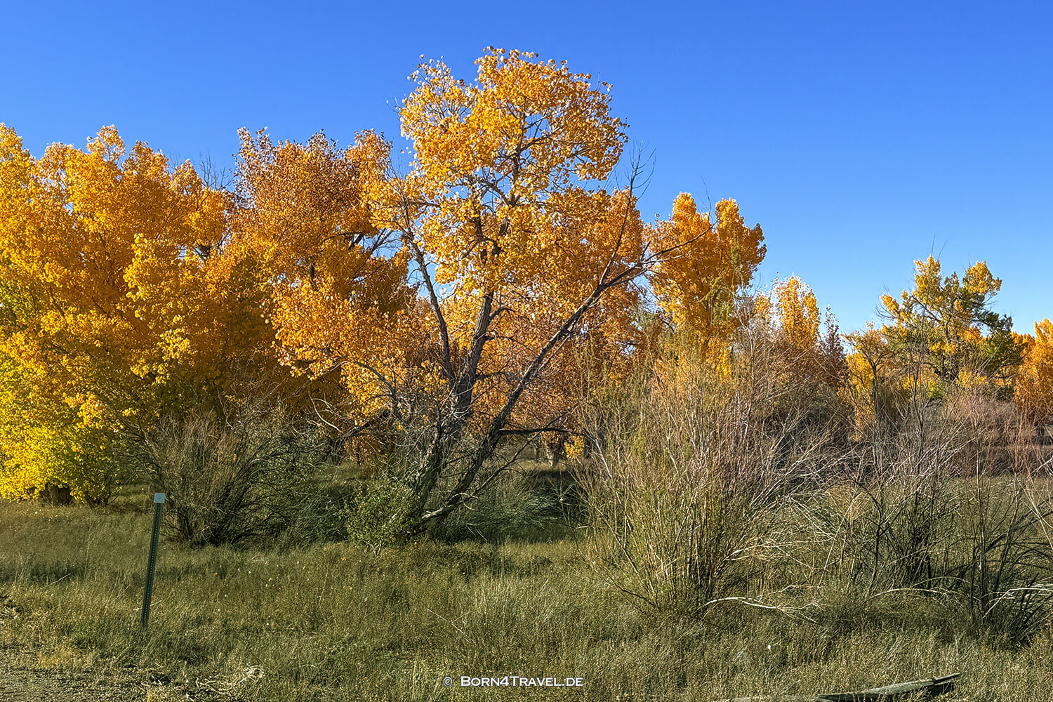 Uinta Basin, Utah,USA2025,born4travel.de Uinta Basin, USA2025,born4travel.de