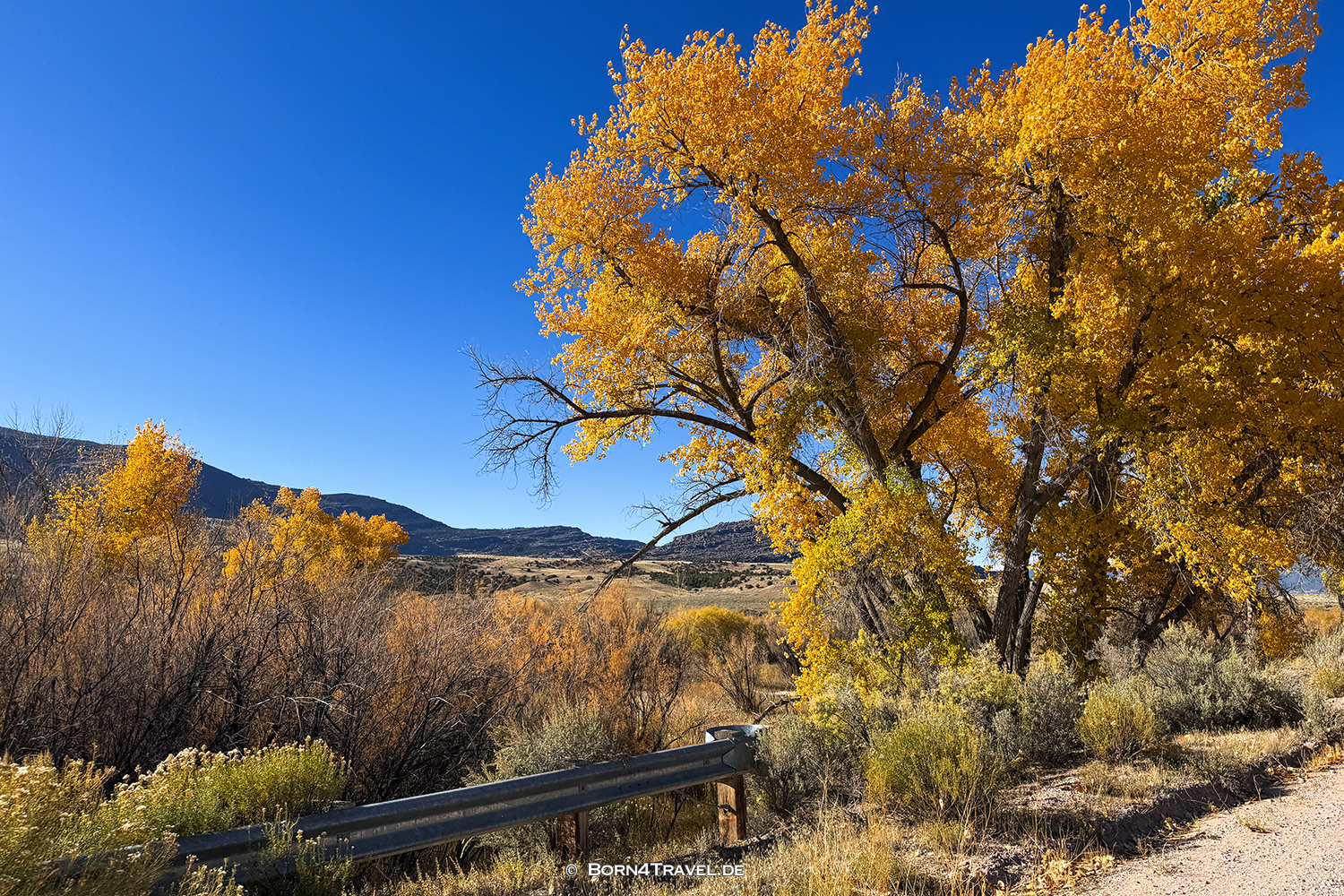 Gates of Lodore,Colorado,USA2025,born4travel.de Gates of Lodore,ColoradoUSA2025,born4travel.de