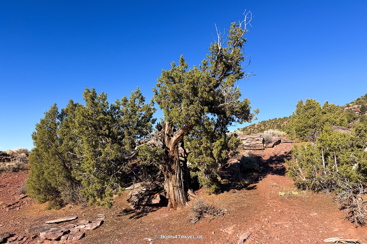 Gates of Lodore,Colorado,USA2025,born4travel.de Gates of Lodore,ColoradoUSA2025,born4travel.de