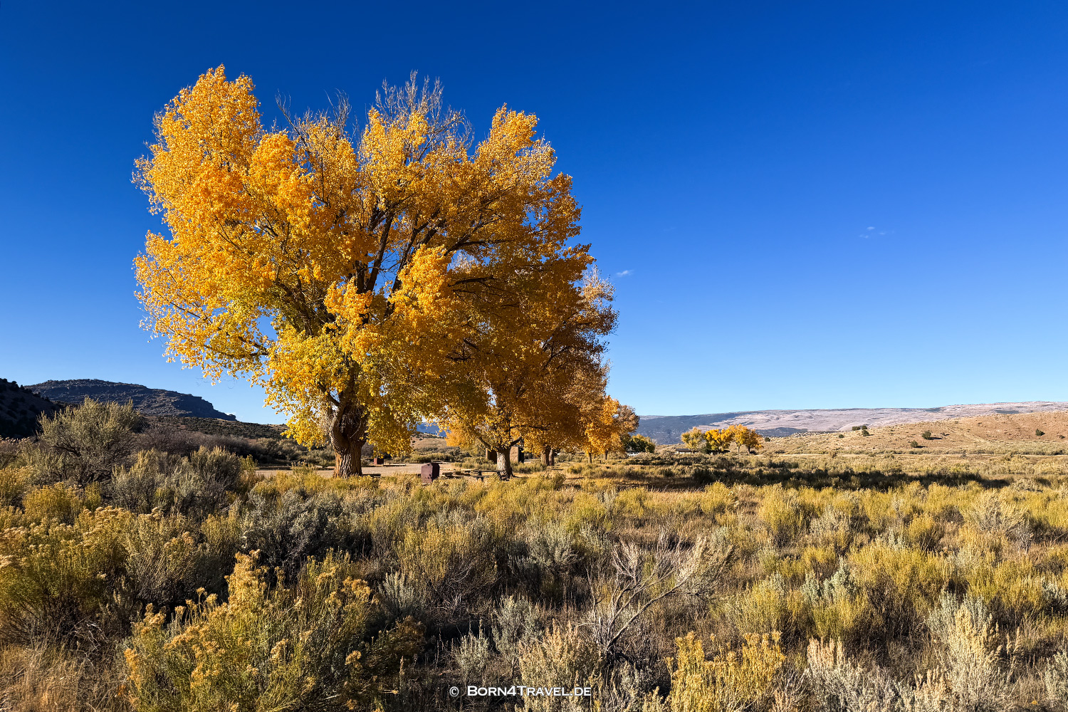 Gates of Lodore,Colorado,USA2025,born4travel.de Gates of Lodore,ColoradoUSA2025,born4travel.de