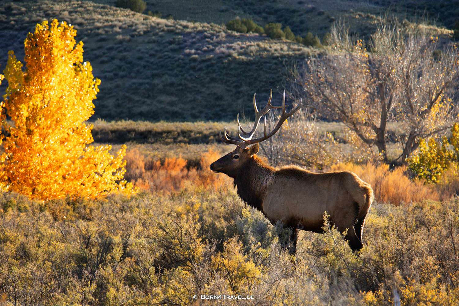 Colorado,USA2025,born4travel.de Colorado,USA2025,born4travel.de