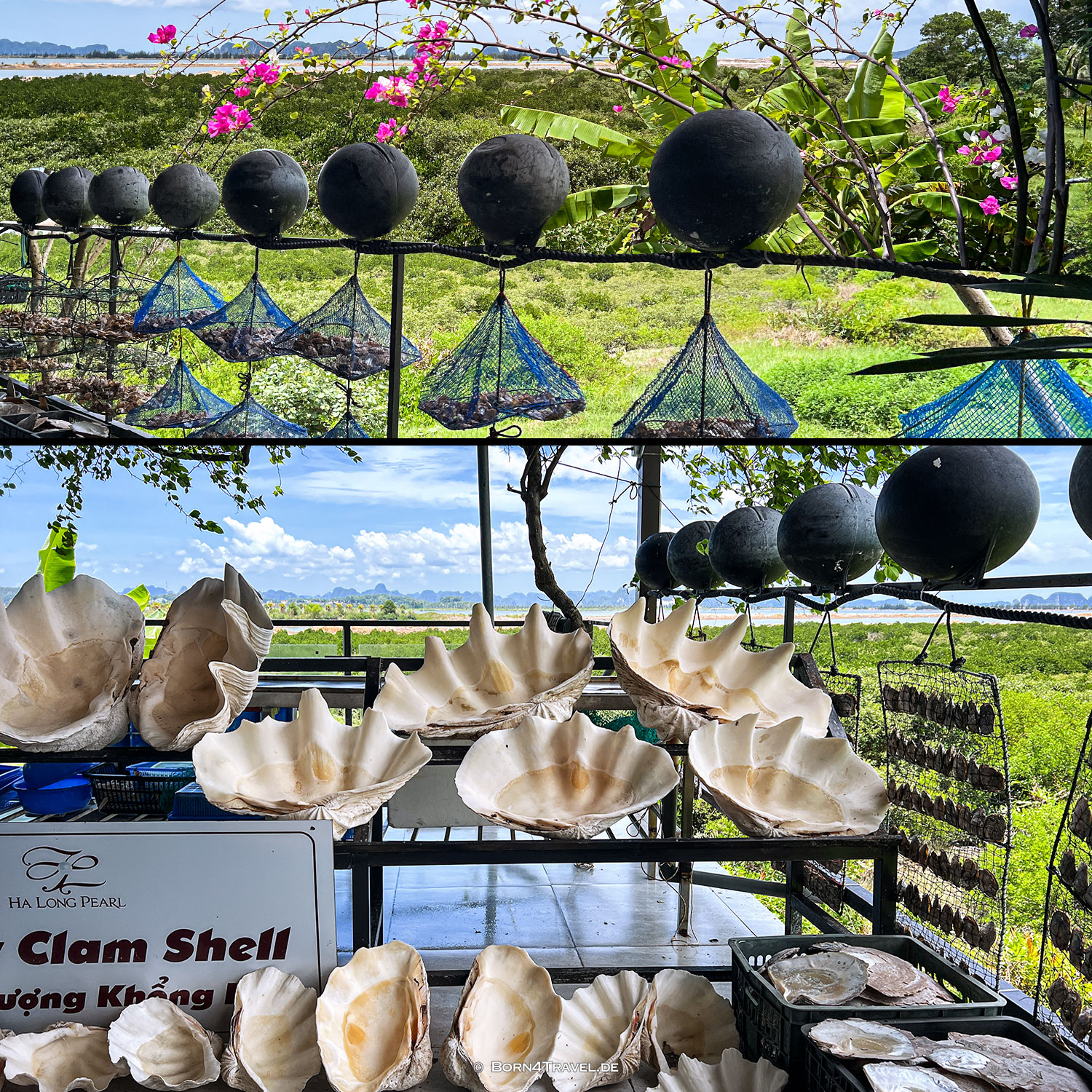 Pearlfarm,Vietnam,born4travel.de