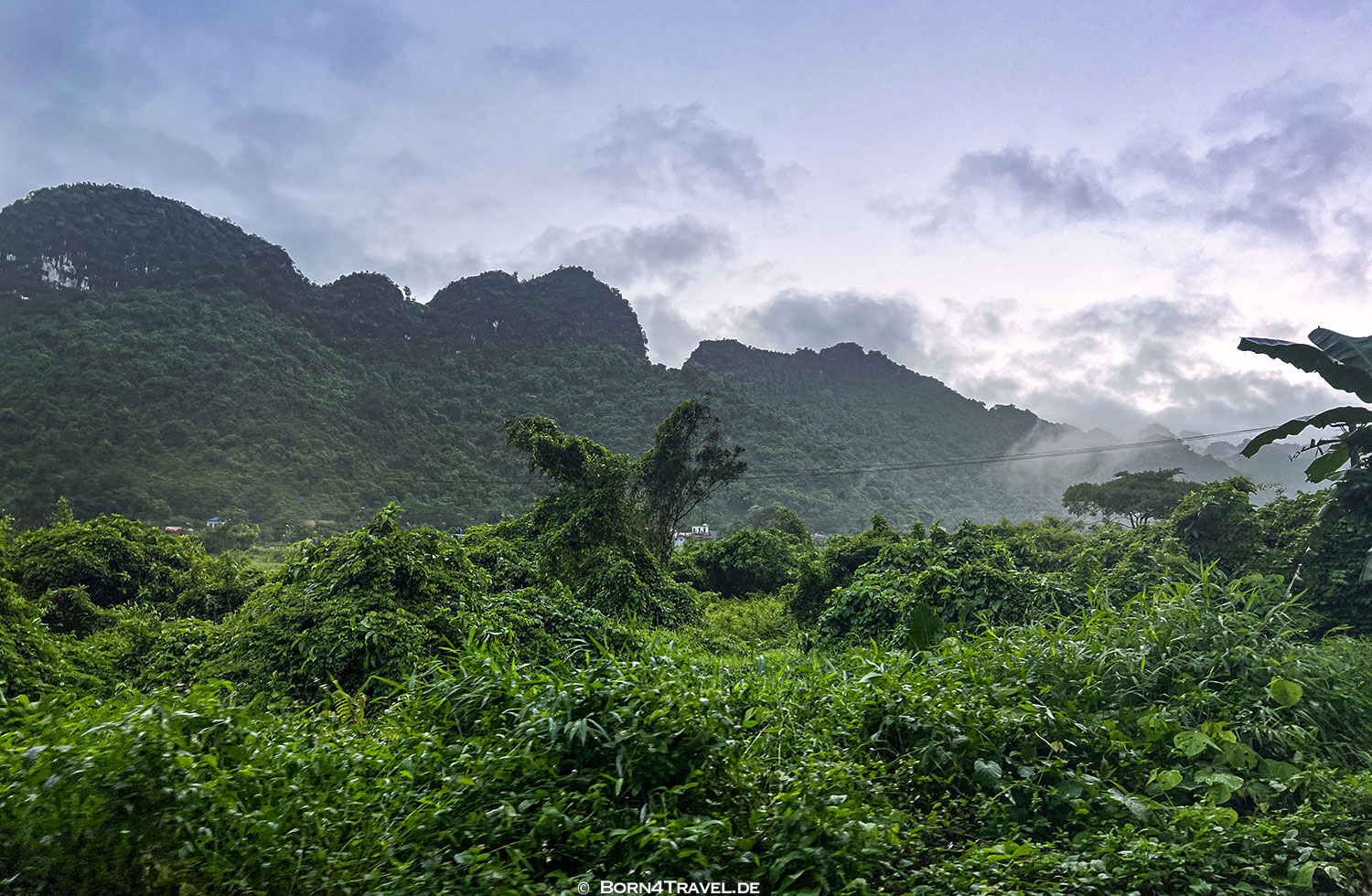 Việt Hải im Cát Bà Nationalpark,Halong,Vietnam,born4travel.de