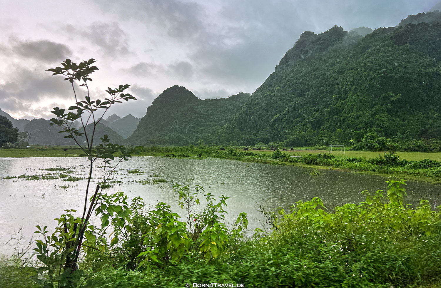 Việt Hải im Cát Bà Nationalpark,Halong,Vietnam,born4travel.de